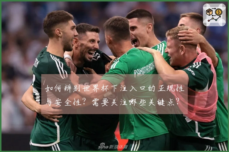 如何辨别世界杯下注入口的正规性与安全性？需要关注哪些关键点？