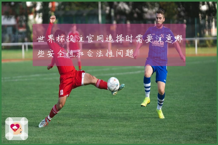 世界杯投注官网选择时需要注意哪些安全性和合法性问题