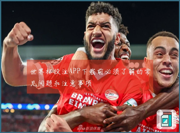 世界杯投注APP下载前必须了解的常见问题和注意事项